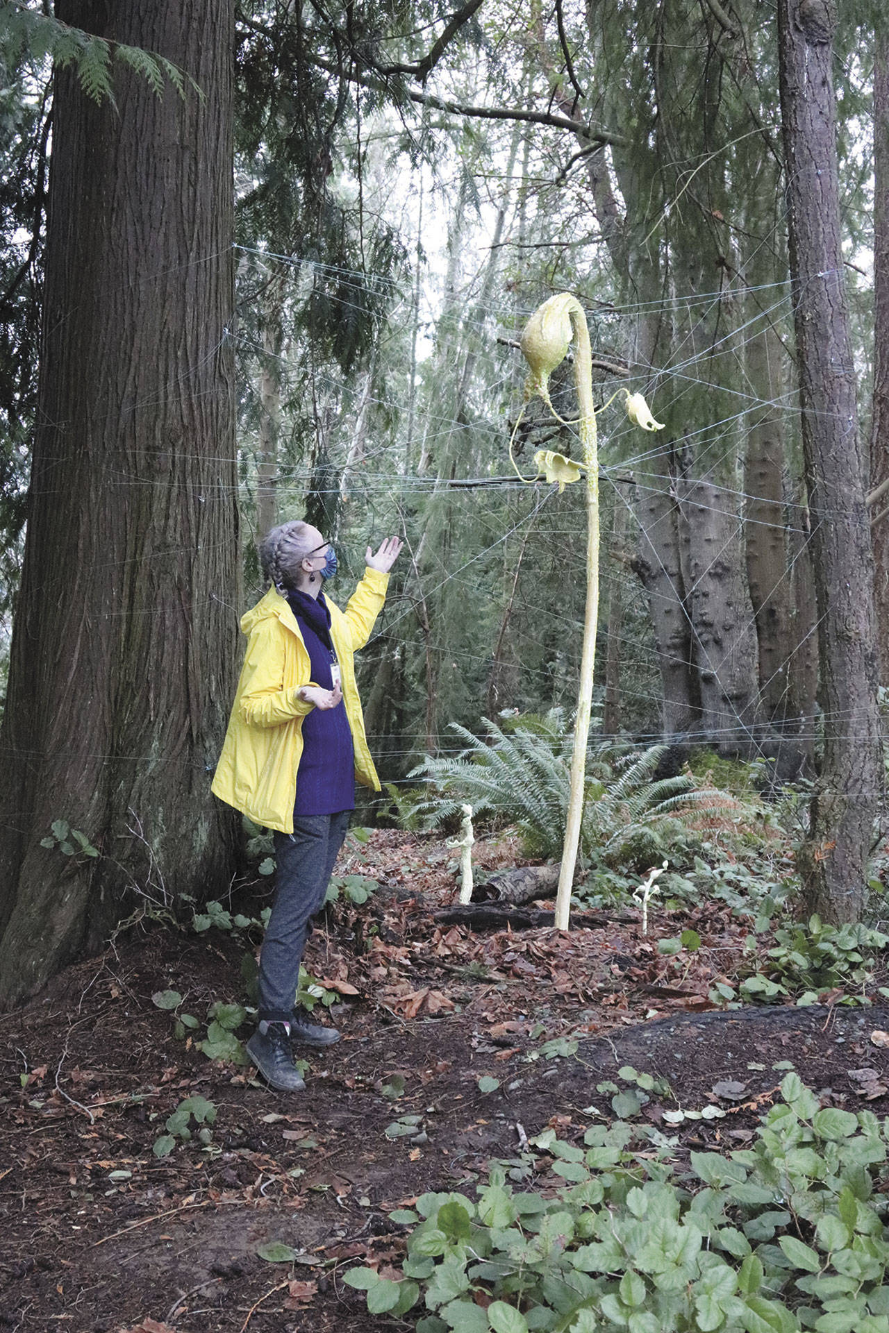 Sarah Jane, gallery and program director for the Port Angeles Fine Arts Center, conducts a “curator’s-eye-view” tour of Webster’s Woods. (Port Angeles Fine Arts Center)
