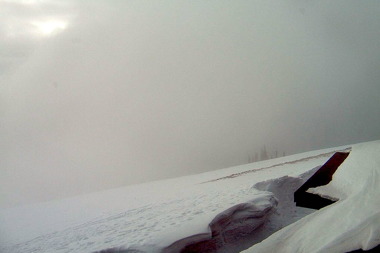 This screenshot from the Olympic National Park's webcam on a socked-in Thursday shows the view southwest from the Hurricane Ridge visitor center. The dark shelf on the right is the roof to the lower level. Next to it is a crevasse showing the depth of snow. Hurricane Ridge had 76 inches - more than 6 feet - of snow at its sensor.
