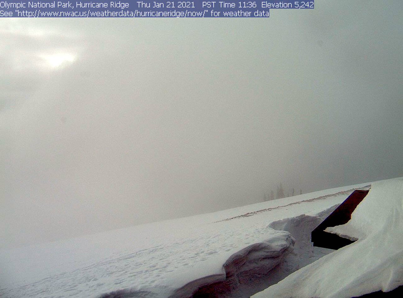 This screenshot from the Olympic National Park’s webcam on a socked-in Thursday shows the view southwest from the Hurricane Ridge visitor center. The dark shelf on the right is the roof to the lower level. Next to it is a crevasse showing the depth of snow. Hurricane Ridge had 76 inches — more than 6 feet — of snow at its sensor.