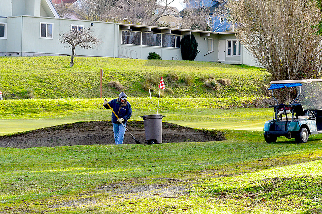 Amid Wednesday morning's sunshine, volunteer Ken Radon neatens the Port Townsend Municipal Golf Course, where he often plays. (Diane Urbani de la Paz/Peninsula Daily News)