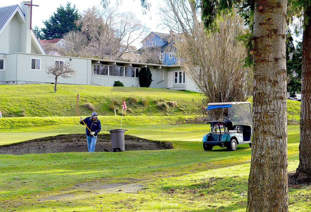 Amid Wednesday morning’s sunshine, volunteer Ken Radon neatens the Port Townsend Municipal Golf Course, where he often plays. (Diane Urbani de la Paz/Peninsula Daily News)