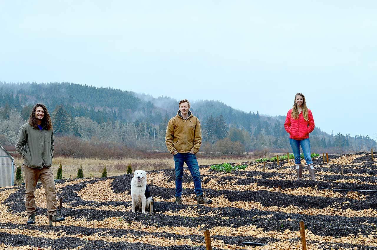 Matt Montoya, left, Ben Thompson and his sister Grace Thompson stand with River the farm dog on the newly preserved Kodama Farm in Chimacum. (Diane Urbani de la Paz/Peninsula Daily News)