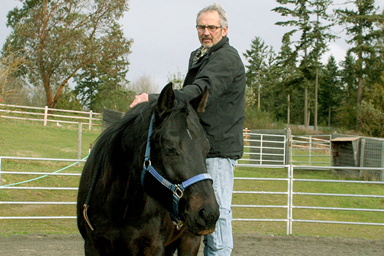 Ken Seifer prepares to climb into the saddle of Bob, a horse who  was traumatized by a farrier. After working with Seifer, Bob can now stand quietly and calmly while his hooves are tended. (Karen Griffiths/for Peninsula Daily News)