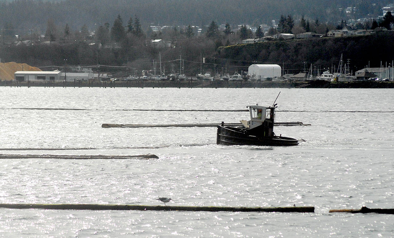 Keith Thorpe/Peninsula Daily News
A log boom tug works the waters at the west end of Port Angeles Harbor on Tuesday. The tugs are used for coralling logs for later pickup and tending the containing booms.