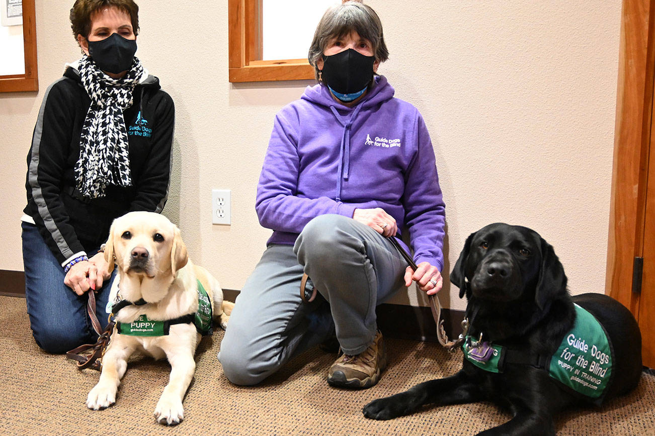 Claudine Sill —  left, with Rolanda —  and Deb Cox —  with Hadley —  are looking for volunteers to help raise guide dogs for the Guide Dogs for the Blind-Sequim, WA Puppy Raisers organization. Michael Dashiell/Olympic Peninsula News Group