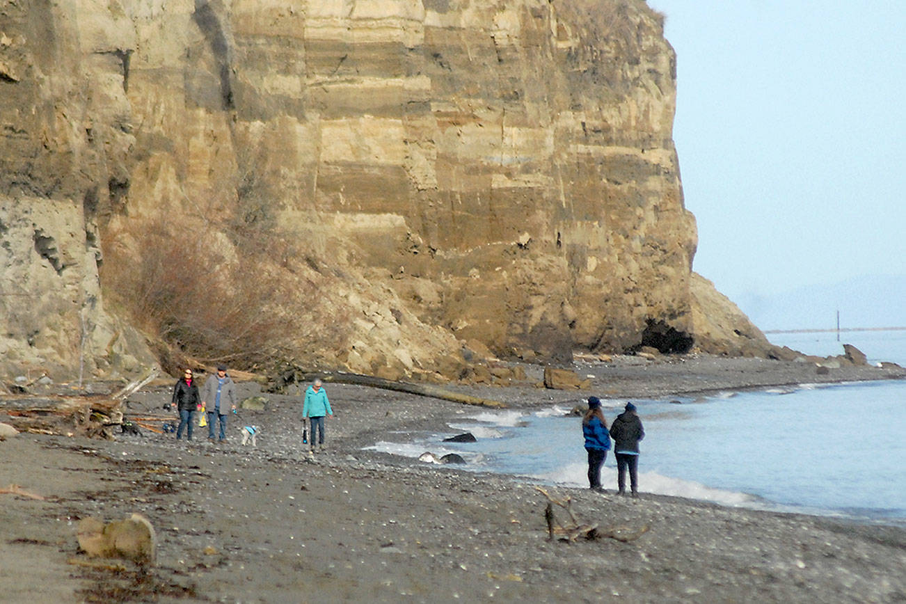 Beach walkers stroll beneath the bluffs on the shore of Sequim Bay near Marlyn Nelson County Park at Port Williams east of Sequim on Saturday. The area is popular with beachcombers and offers views of Protection Island and the Miller Peninsula. (Keith Thorpe/Peninsula Daily News)