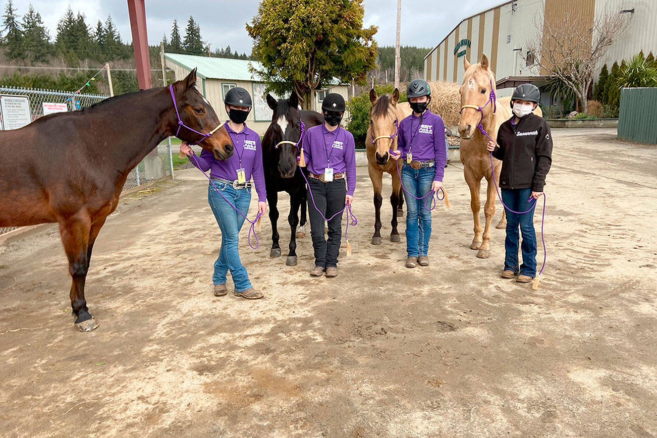 Photo by Katie Newton
Sequim’s WAHSET In Hand Obstacle Relay Team includes all four teammates
who competed at meet 1 held Gray’s Harbor Fairgrounds Feb. 26-28: Libby
Swanberg, left, Keri Tucker, Rainey Bronsink and Susannah Sharpe.