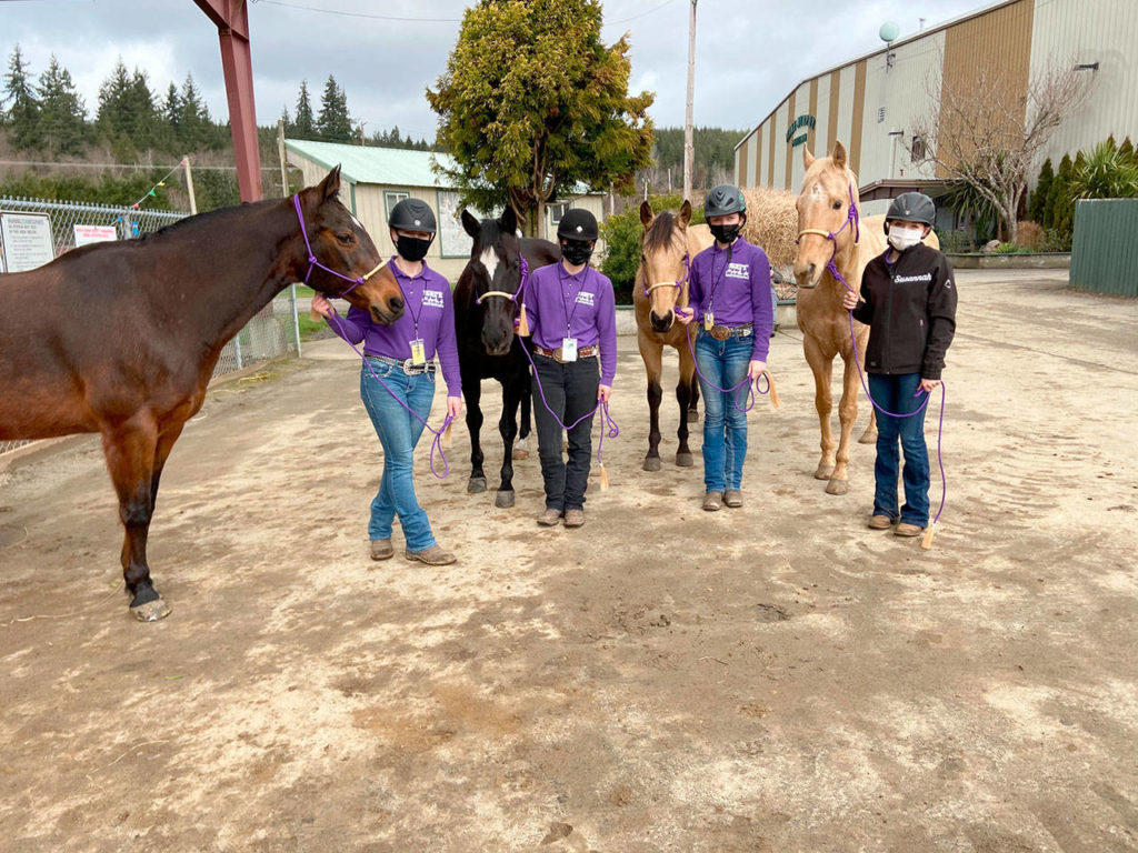HORSEPLAY Equestrians back in saddle at first meet Peninsula Daily News