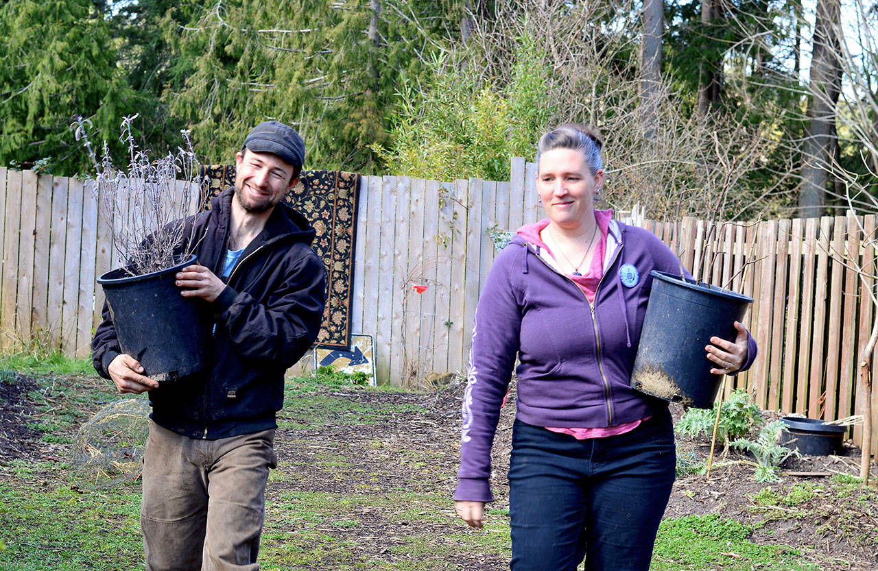 Ashley Kehl, left, and his wife Jennimae Hillyard will host the 10th annual Plant & Seed Exchange in Port Townsend on Sunday. (Diane Urbani de la Paz/Peninsula Daily News)