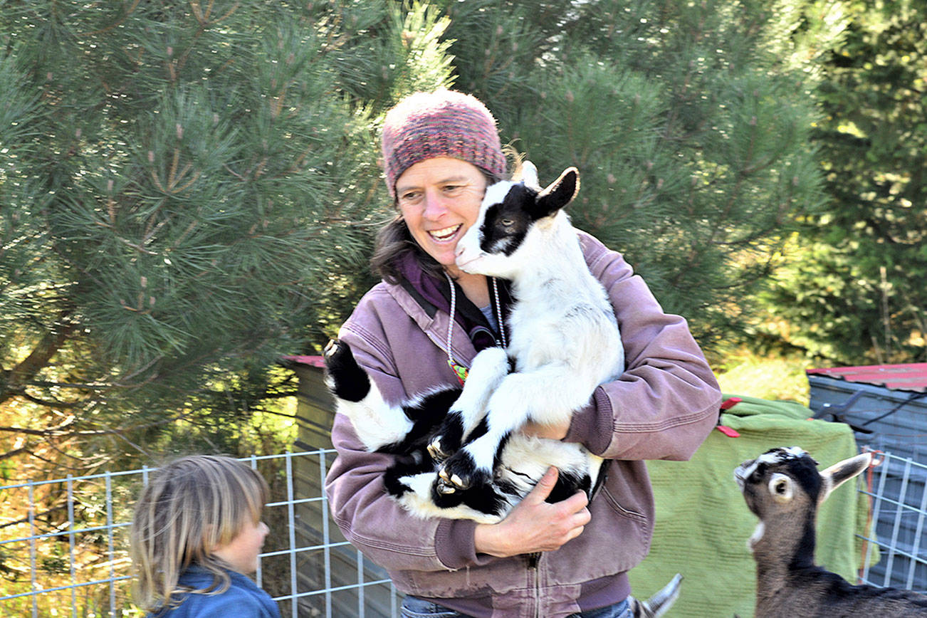 <strong>Diane Urbani de la Paz</strong>/Peninsula Daily News
 Rachael Van Laanen and her son Quince, 5, care for the animals — including 40 American Alpine goats — at Mystery Bay Farm on Marrowstone Island.
