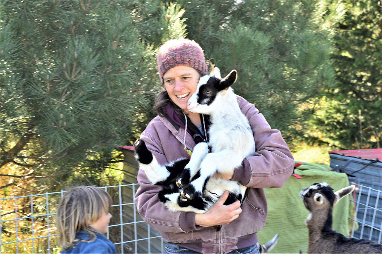 <strong>Diane Urbani de la Paz</strong>/Peninsula Daily News
 Rachael Van Laanen and her son Quince, 5, care for the animals — including 40 American Alpine goats — at Mystery Bay Farm on Marrowstone Island.