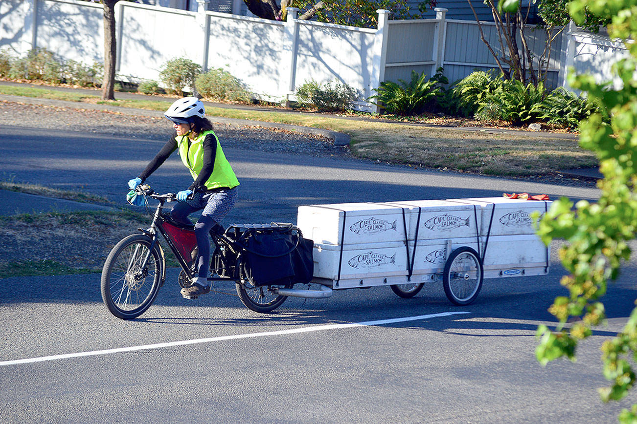 Pam Petranek pedals her Cape Cleare Salmon trailer down Lawrence Street toward the Port Townsend Farmers Market last year as she will do again when the market reopens Saturday. (Diane Urbani de la Paz/Peninsula Daily News)