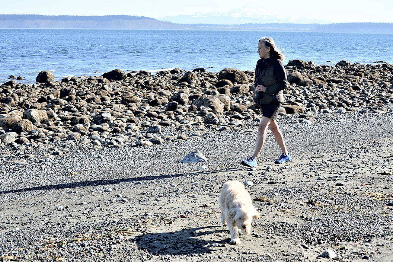 Kelly Doran takes her dog Sunny out for some fresh air at North Beach, one of several Port Townsend beaches included in Saturday’s Washington Coast Cleanup. (Diane Urbani de la Paz/Peninsula Daily News)