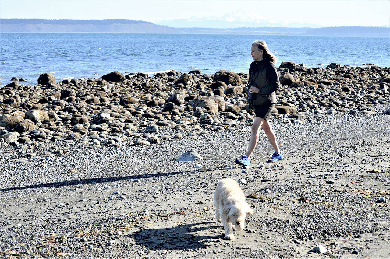 Kelly Doran takes her dog Sunny out for some fresh air at North Beach, one of several Port Townsend beaches included in Saturday’s Washington Coast Cleanup. (Diane Urbani de la Paz/Peninsula Daily News)