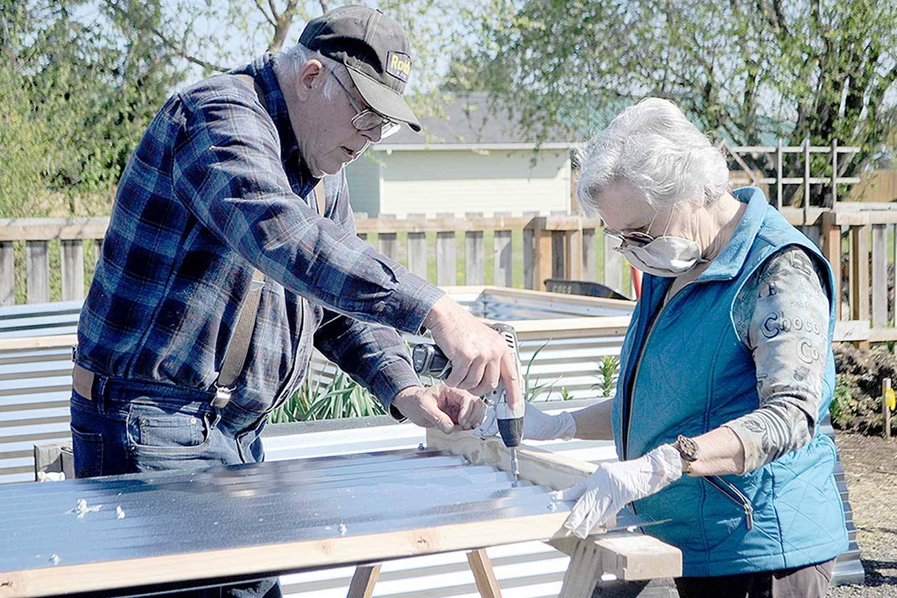Gardener Bob Caldwell, left, and Sue Scott work to build one of the walls of a raised bed in the Fir Street Community Garden. Gardeners from Community Organic Gardens of Sequim built five raised beds earlier this month at the site at 525 N. Fifth Ave. Participants share community service hours ranging from weeding pathways and community plots of blueberries and flowers to making signs or calling fellow gardeners with messages. Fees are $45 a year for a bed or plot, which includes a bag of compost from The Co-Op Farm and Garden, compost from Lazy J Tree Farm and water. For information on availability, call Liz Harper at 360-477-4881. (Matthew Nash/Olympic Peninsula News Group)
