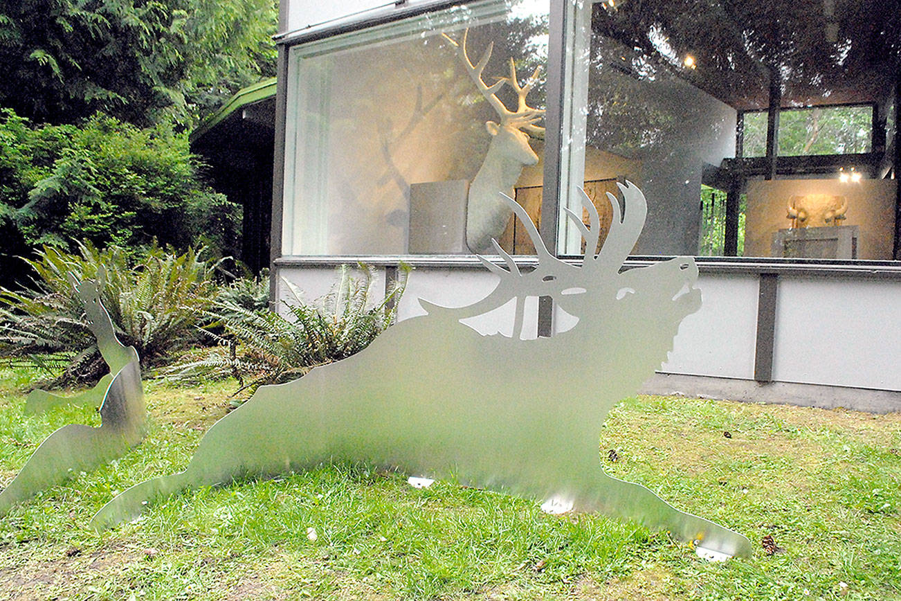 Keith Thorpe/Peninsula Daily News
An aluminum cut-out of a Roosevelt elk sits outside the Port Angeles Fine Arts Center, part of the "Conservation From Here" exhibit that includes original art by Joseph Rossano.