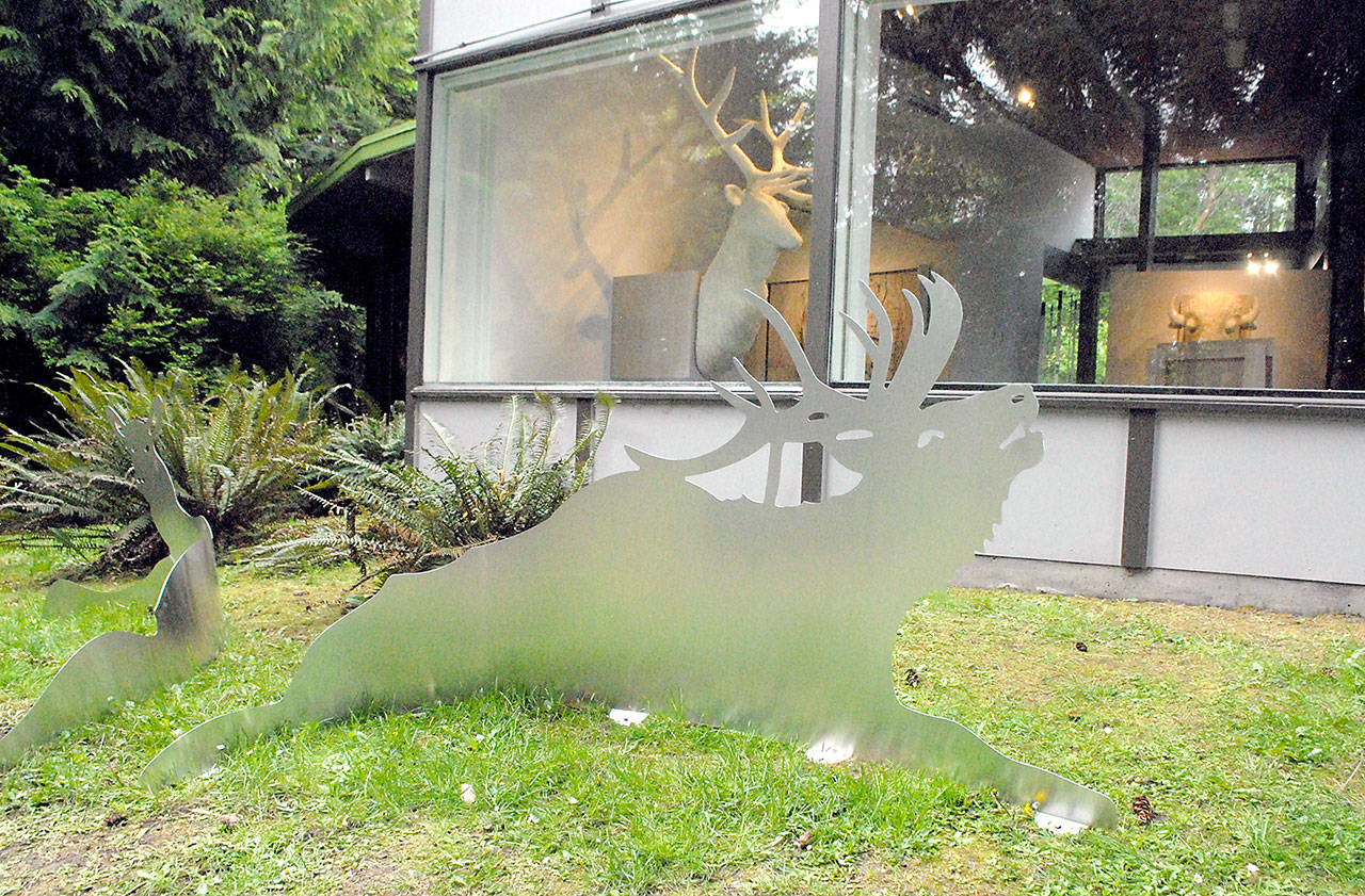 An aluminum cut-out of a Roosevelt elk sits outside the Port Angeles Fine Arts Center, part of the “Conservation From Here” exhibit that includes original art by Joseph Rossano. (Keith Thorpe/Peninsula Daily News)