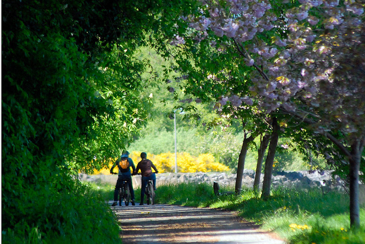 A pair of bicyclists make their way along the Waterfront Trail east of downtown Port Angeles on Thursday. The trail, a popular route for bicyclists and pedestrians, makes its way along or near the shore of Port Angeles Harbor from Morse Creek to Ediz hook. (Keith Thorpe/Peninsula Daily News)