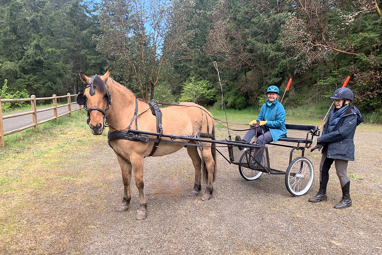 Photo courtesy of Andrea Gold
In Port Townsend Sarah “Sally” Dean, seated, helps prepare Juelie Dalzell and her horse Jack to pull the cart Dalzell and her husband Jeff Chapman took this month for a 18-day, 240-mile journey on The Palouse to Cascades trail.