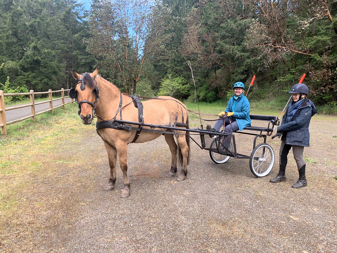 In Port Townsend Sarah “Sally” Dean, seated, helps prepare Juelie Dalzell and her horse Jack to pull the cart Dalzell and her husband Jeff Chapman took this month for a 18-day, 240-mile journey on The Palouse to Cascades trail. (Photo courtesy of Andrea Gold)