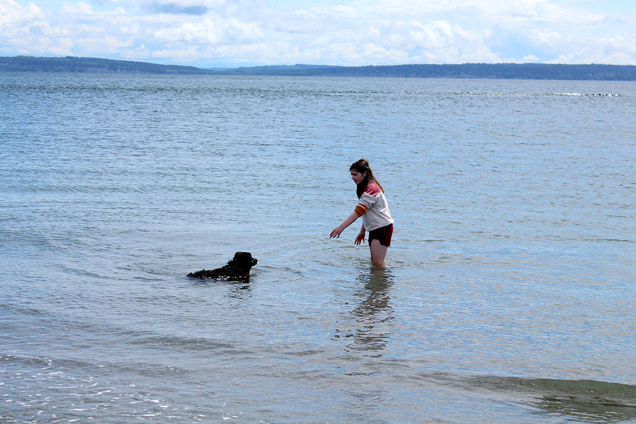 Rain Walker of Silverdale plays with her dog Bodhi in the water at the beach of Fort Worden State Park on Wednesday during a day trip her family took to the park and Port Townsend. Pleasant weather is expected to continue across the North Olympic Peninsula into the weekend with a chance of showers forecast for Sunday. (Zach Jablonski/Peninsula Daily News)