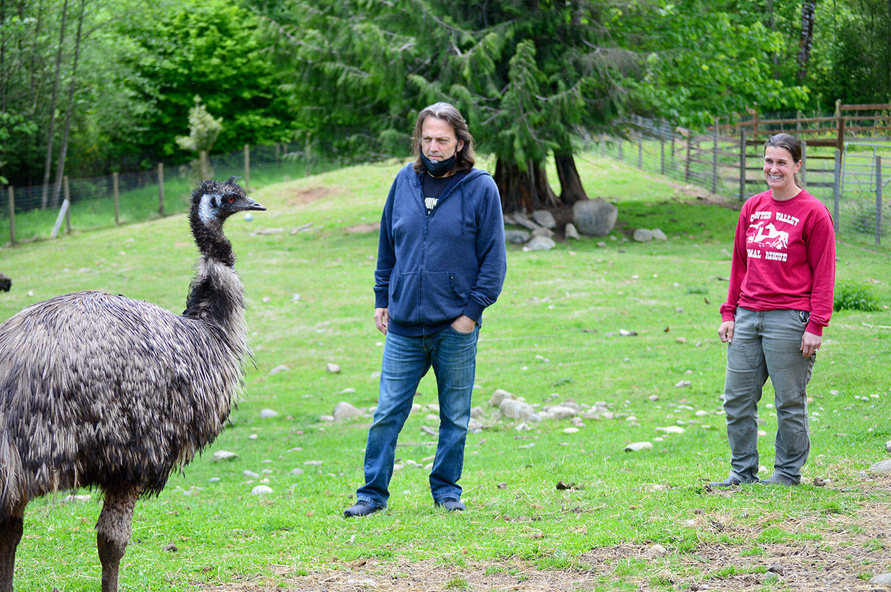 Center Valley Animal Rescue to host auction Peninsula Daily News