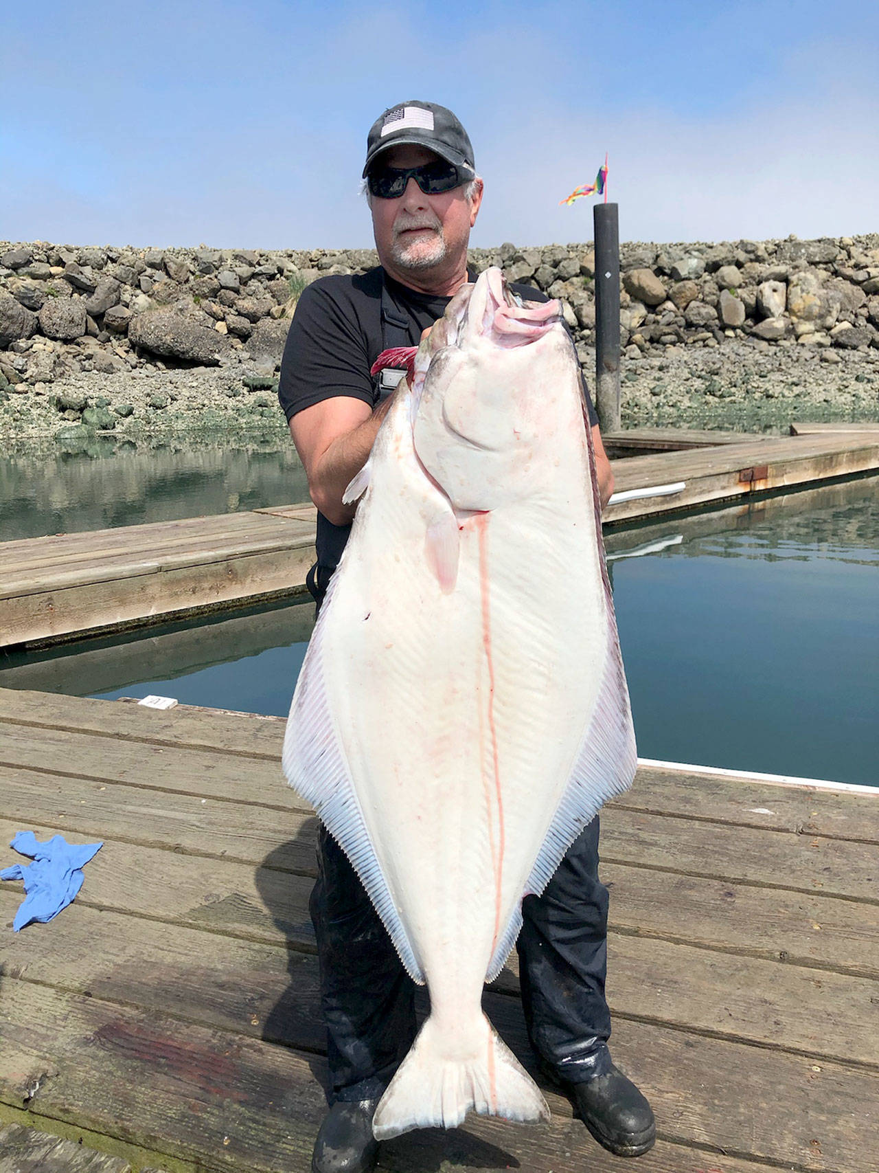 Rand Pierce caught this 54-pound halibut while fishing off Coho Estates near Sekiu last Saturday.