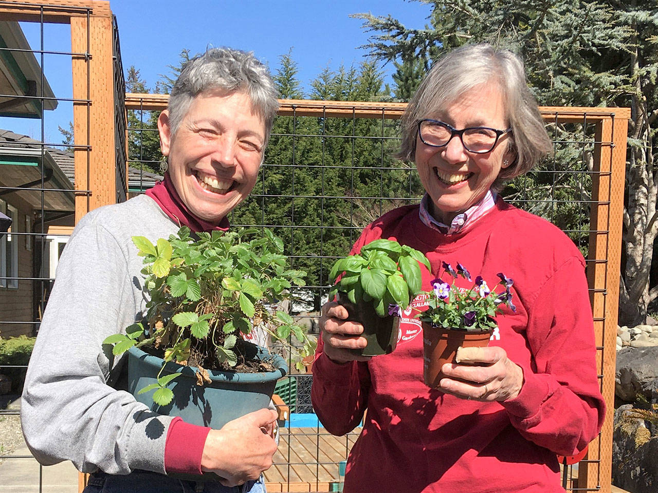Jeanette Stehr-Green, left, and Judy English will present “Growing Vegetables and Fruits in Containers” at noon Thursday.
