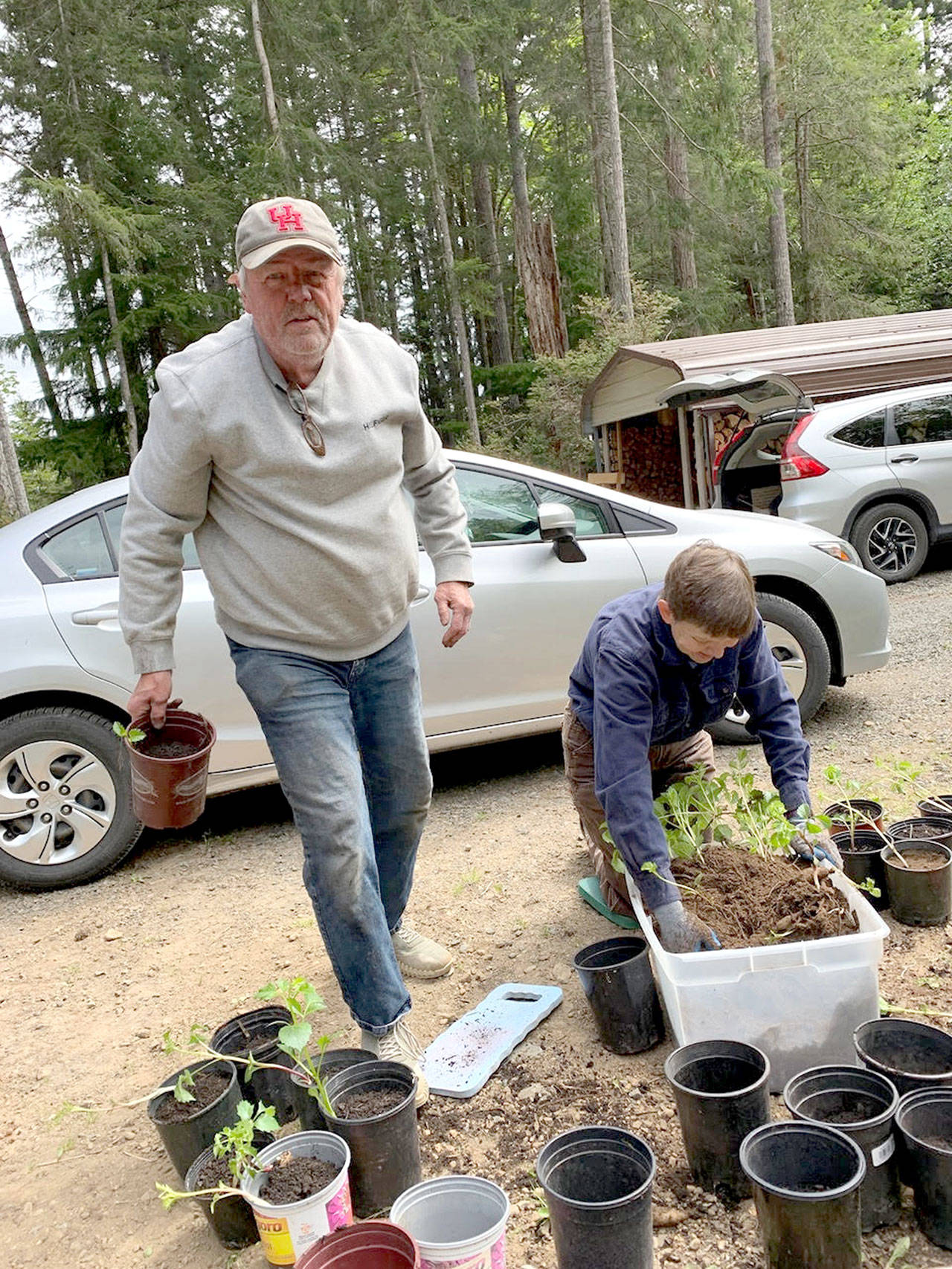 Dahlia expert Harold Jensen works with Cecile Culp on plant starts for the Quilcene Brinnon Garden Club's big plant sale Saturday and Sunday at the Brinnon Community Center.
photo by Laurie Mattson