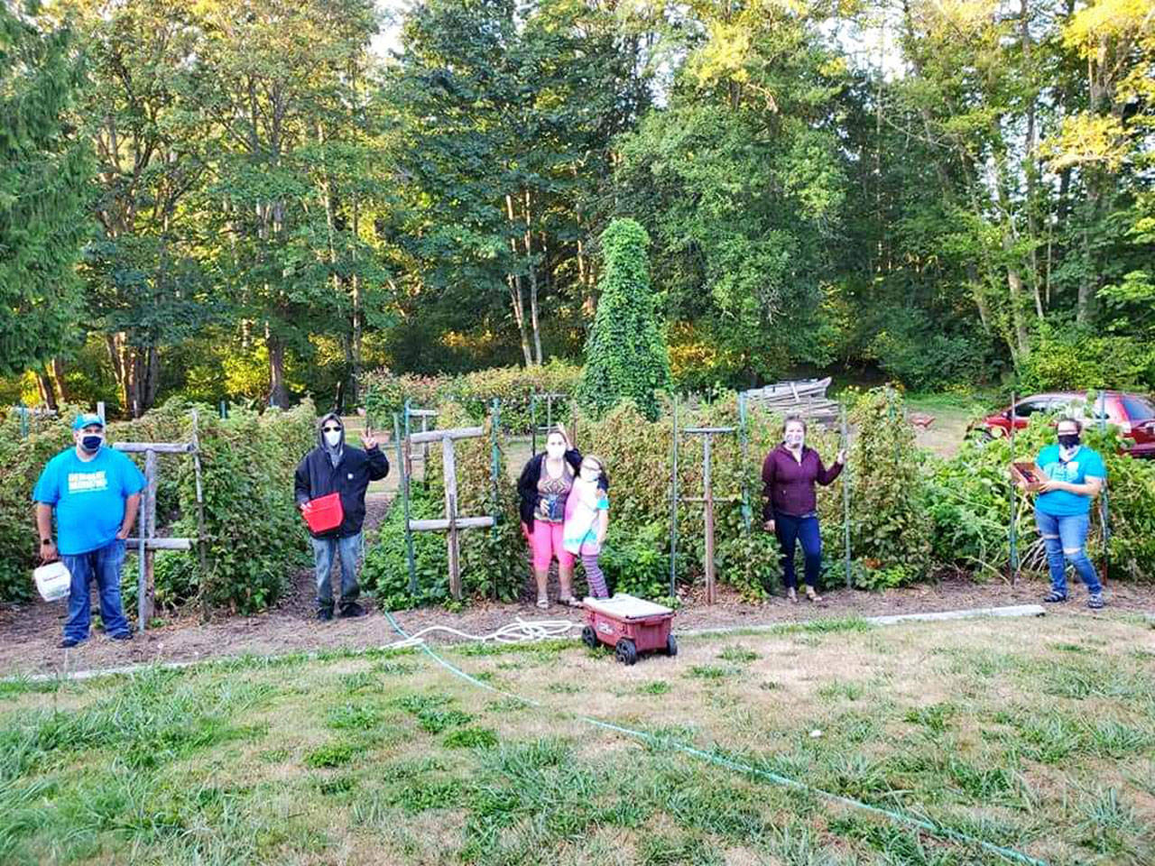 The WSU Extension Gleaning Program is seeking local fruit and vegetables not being collected by property owners. Each year, gleaners rescue tens of thousands of pounds of produce that would otherwise go to waste, program organizers say. (Photo courtesy of WSU Extension Gleaning Program )