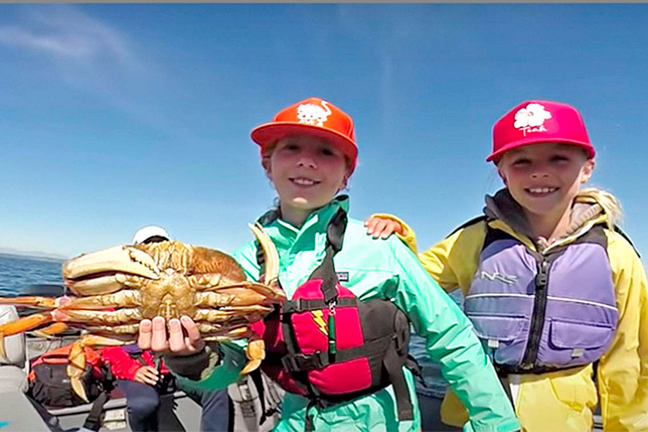 Photo courtesy of WDFW
Crabbing season returns to the Strait of Juan de Fuca, Admiralty Inlet and most of the Hood Canal beginning July 1.