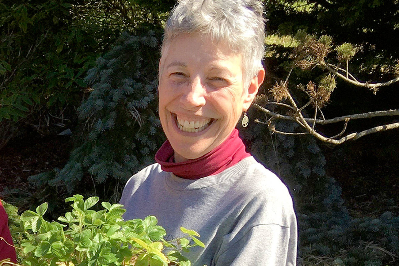 Jeanette Stehr-Green will present “Growing Strawberries on the North Olympic Peninsula” at 10:30 a.m. Saturday.