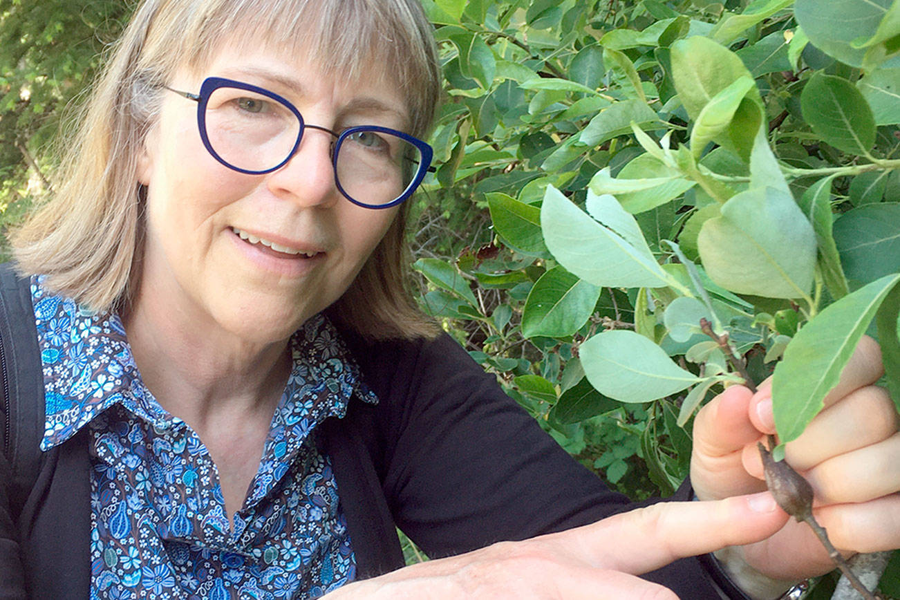 Green Thumb lecture scheduled today Peninsula Daily News