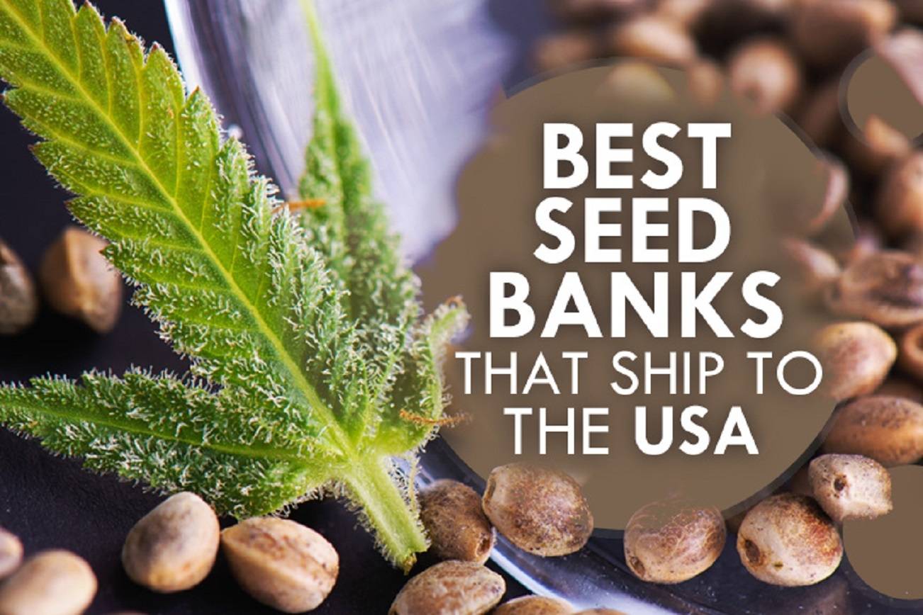 Best seed banks that ship weed seeds to the USA