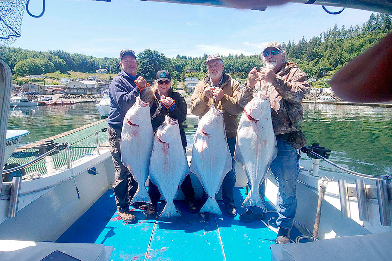 Anglers from left, Dave Lewis, Alea Holloway, Doug Demmrell and Josh Kilmer, all from the Port Townsend/Sequim area, caught these good-sized halibut while fishing the Pacific Ocean via Sekiu with Tom Burlingame of Excel Fishing Charters.