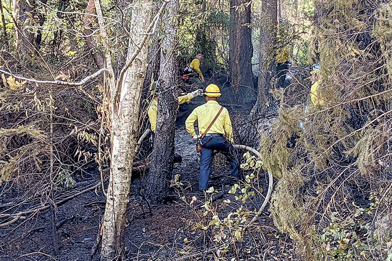 Downed power line sparks brush fire near Brinnon Peninsula Daily News