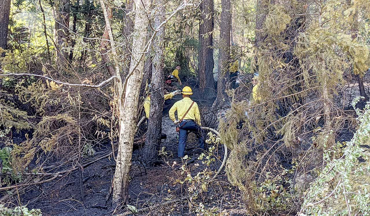 Fire crews work to extinguish a brush fire sparked near Brinnon on Monday afternoon and fully extinguished early Tuesday morning. (Zach Jablonski/Peninsula Daily News)