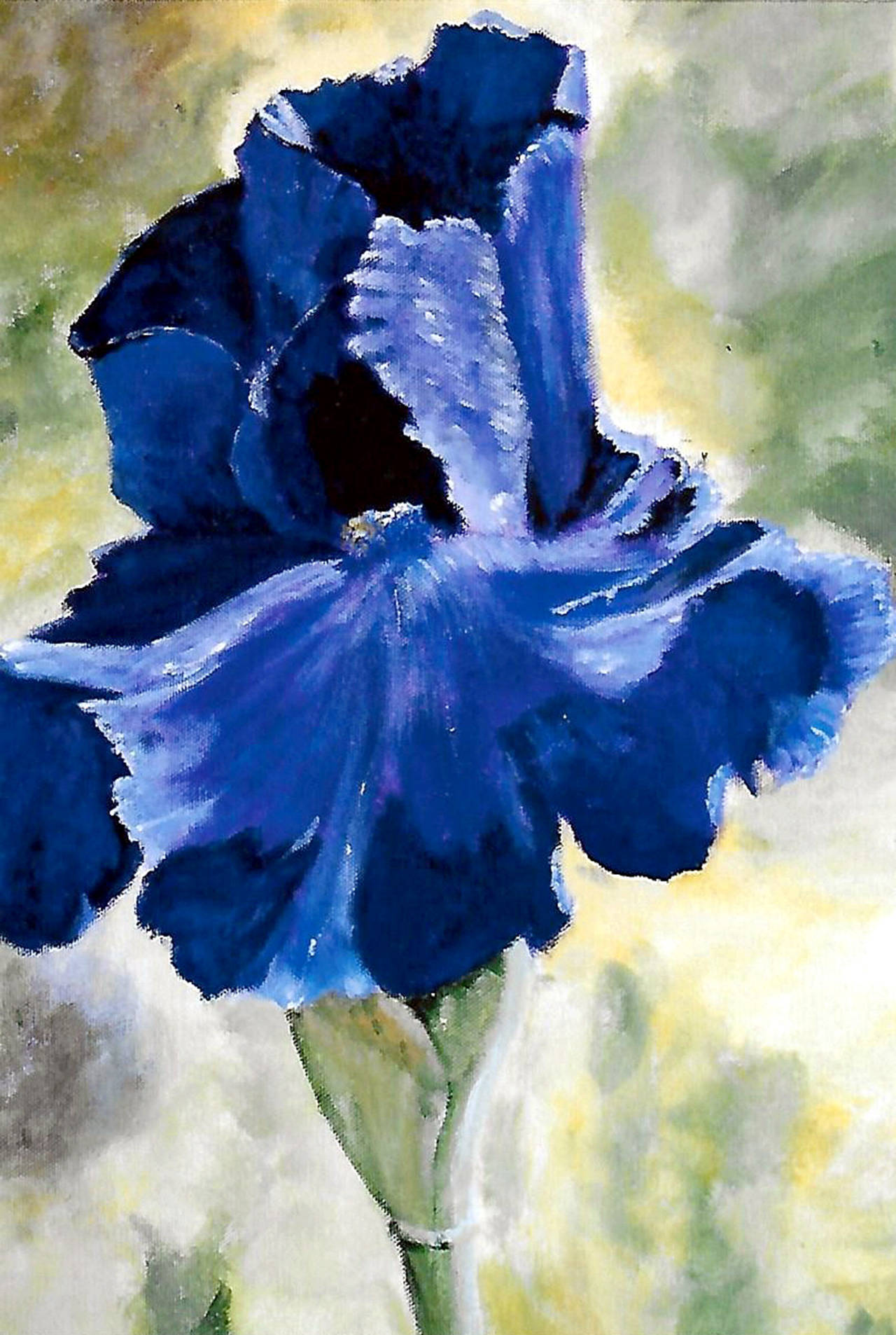 “Iris,” by Beverly Majors, is on view at the Sequim Museum & Arts.