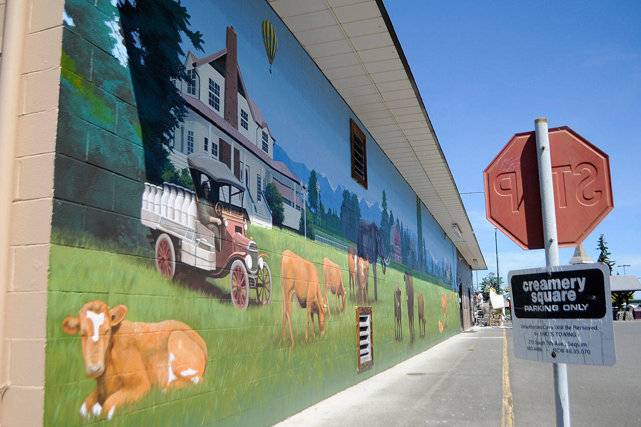 A new mural on the east side of A Stitch in Time Quilt Shoppe depicts some of the dairy farm history of Sequim/Dungeness. Muralist Andy Eccleshall completed it in about 12 days. (Matthew Nash/Olympic Peninsula News Group)