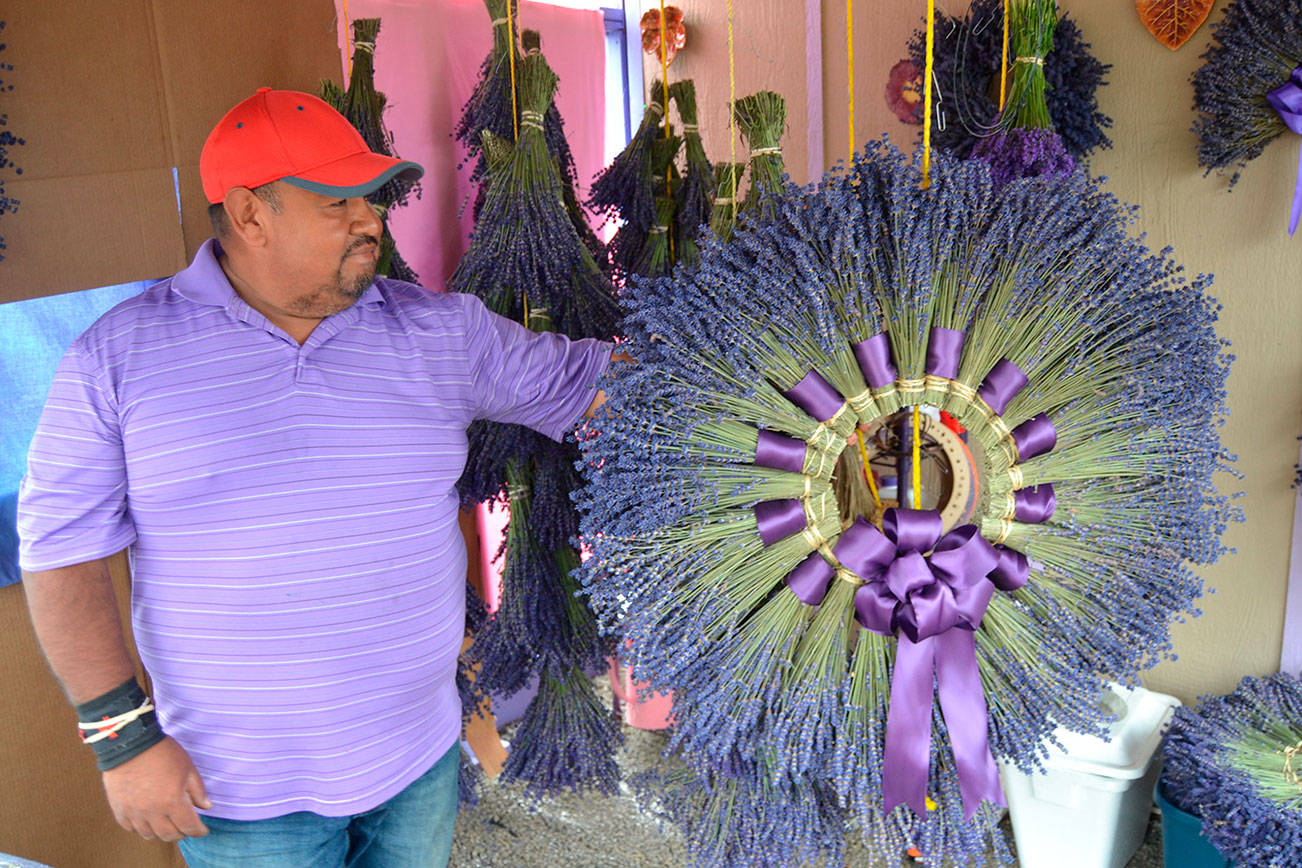Sergio Gonzalez stands with one of the wreaths he made for a customer from lavender in his field at Meli’s Lavender Farm. He hopes visitors will find his farm off Old Olympic Highway this summer as COVID-19 greatly impacted his sales in 2020.. Matthew Nash/Olympic Peninsula News Group