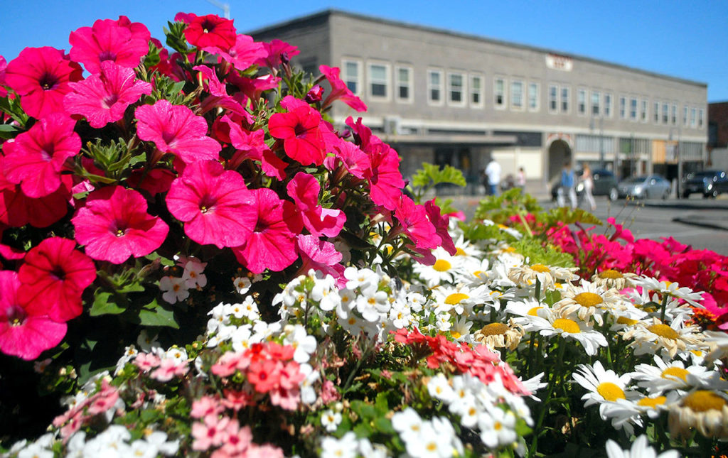 Downtown Port Angeles in bloom Peninsula Daily News