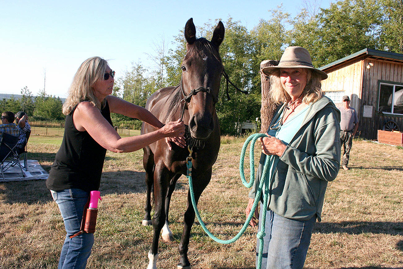 Nose to Toes Certified Acupressure Practitioner Bridget Stumbaugh, left, applies finger pressure to a meridian point on Laurie Corson’s horse Nova to aid in releasing pain caused by an injury and restore the body's qi, or positive energy flow. Aroma therapy with therapeutic herbal oils also helped turn the usually nervous horse into a relaxed and happy equine. (Karen Griffiths/for Peninsula Daily News)