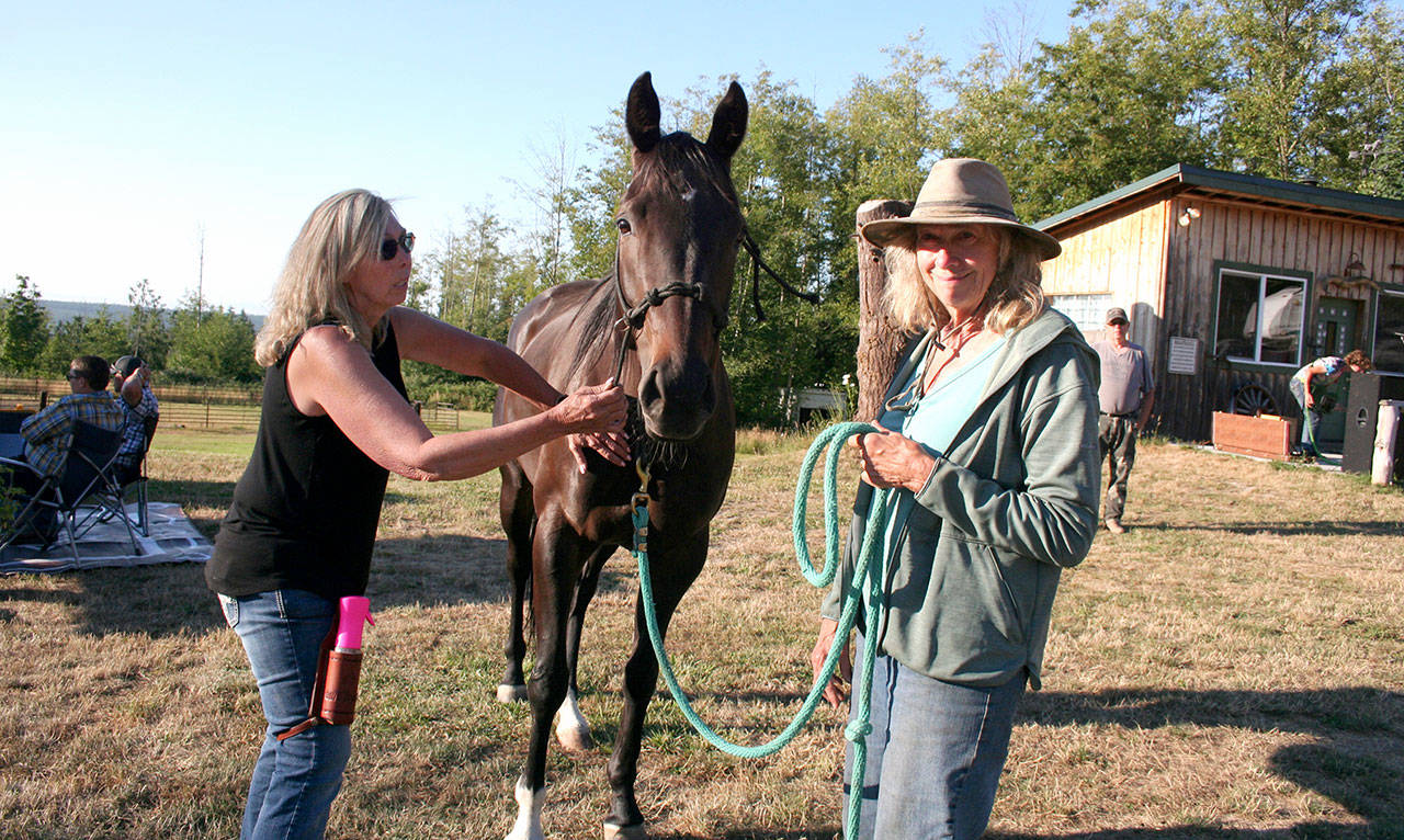 Nose to Toes Certified Acupressure Practitioner Bridget Stumbaugh, left, applies finger pressure to a meridian point on Laurie Corsons horse Nova to aid in releasing pain caused by an injury and restore the bodys qi, or positive energy flow. Aroma therapy with therapeutic herbal oils also helped turn the usually nervous horse into a relaxed and happy equine. (Karen Griffiths/for Peninsula Daily News)