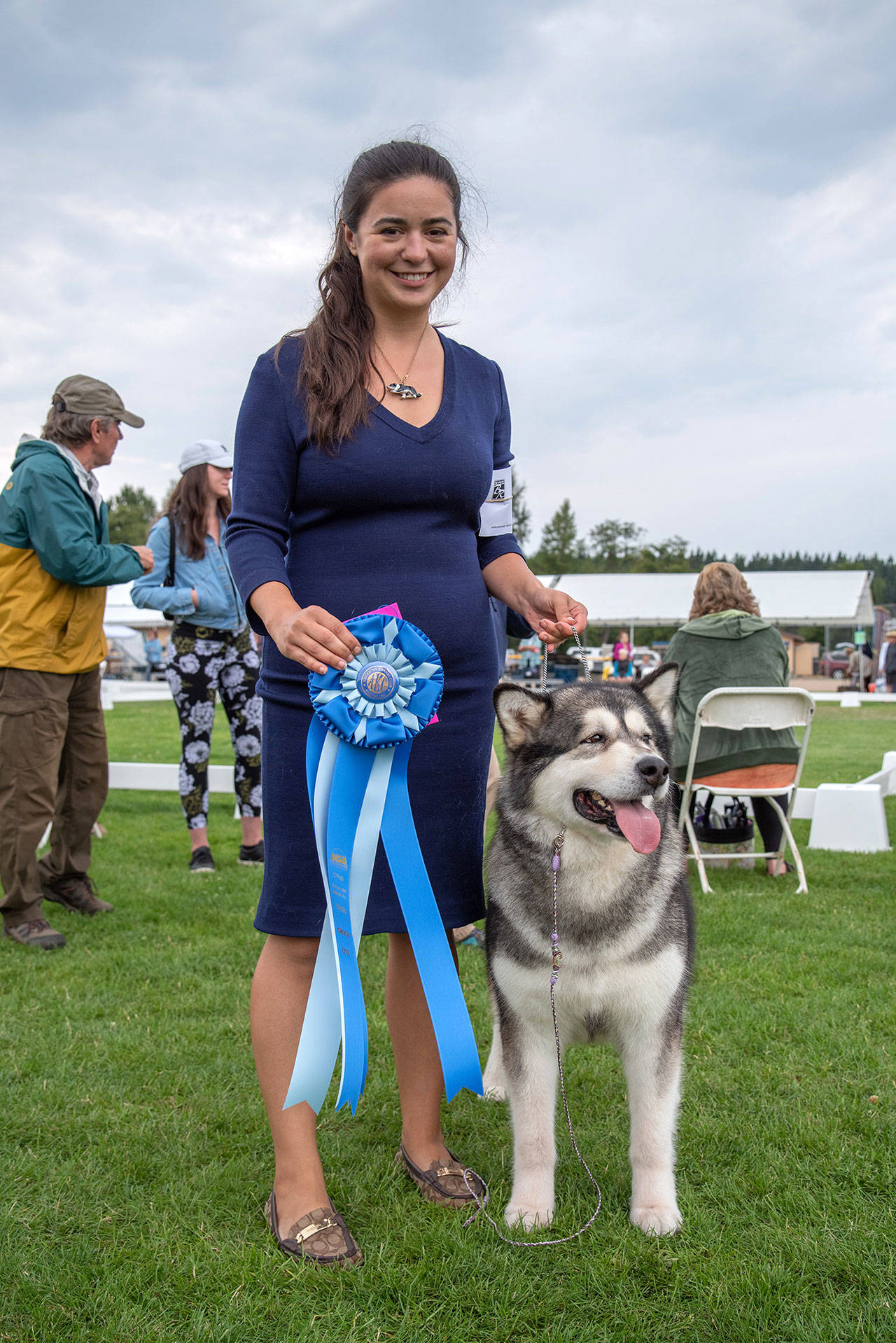 Julie Despot’s dog, Dolly, won the blue ribbon in the working dog group on day two of Hurricane Ridge Kennel Club’s “All Breeds Dog Show” on July 31 at Carrie Blake Community Park in Sequim. Each day, dogs who win “best of breed” go on to compete with dogs categorized by the type of activity for which they are bred, called a group, of which their are seven. Dogs are judged by their appearance and poise. Dolly went on to compete in the “Best of Show” at the end of the day. (Emily Matthiessen/Olympic Peninsula News Group)