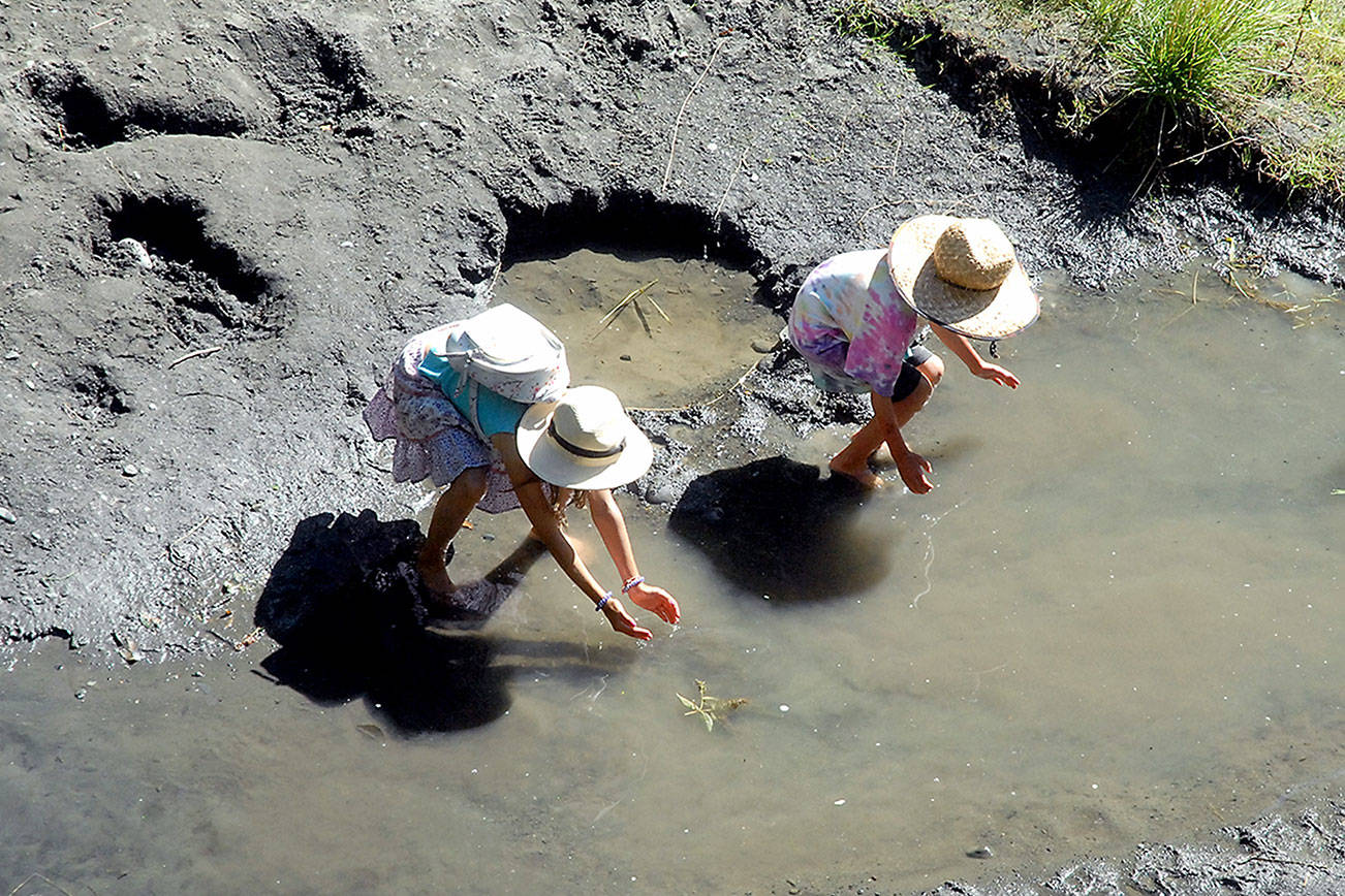 Siblings Sequoia Mitchell, 9, and Coco Mitchell, 6, both of Sequim, attempt to catch tadpoles in a side channel of the Dungeness River at Railroad Bridge Park in Sequim on Tuesday. A spell of hot weather forecast for the next several days will likely send many people on the North Olympic Peninsula seeking heat relief near the water. (Keith Thorpe/Peninsula Daily News)