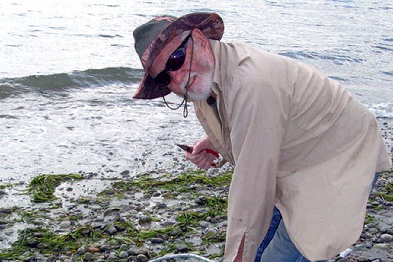 Holly Bauman
Quilcene angler Ward Norden found beach casting success from the shore of Fort Flagler State Park recently, catching this pink with a pink rotator jig. Pinks are at the height of their odd-year return this month.