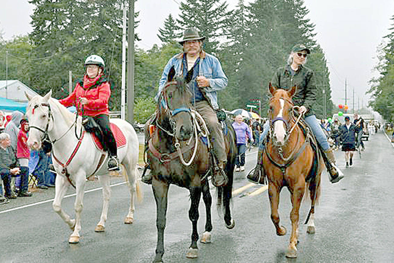 Photo by Denise Hupfer

 

Cutline:  Back Country Horsemen of Washington members Linda Morin, left, Ray and Rochelle Sutherland had a grand time leading the equine Joyce Daze Parade entries from three local chapters  on Aug. 7