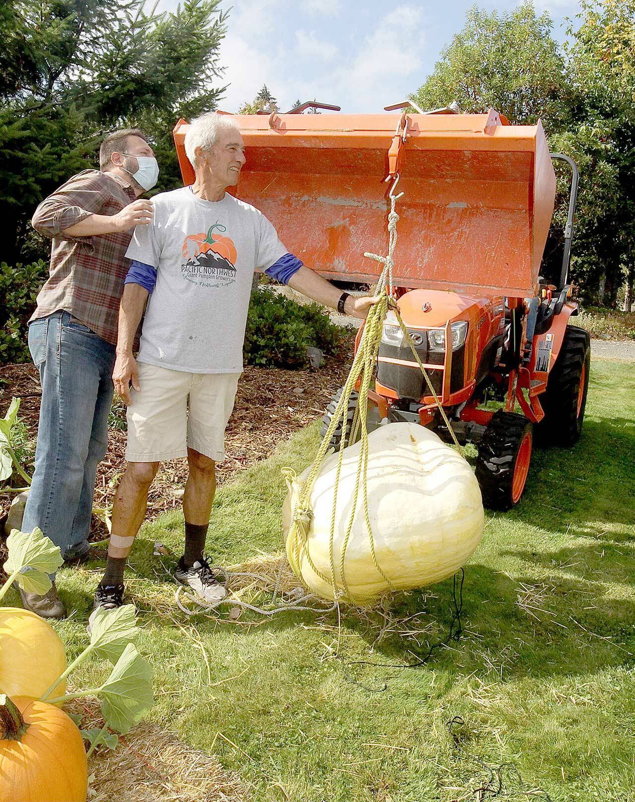Duane Grego, left, and Dan Welden check the scales on Welden’s winning pumpkin at 166.2 pounds Sunday. A giant pumpkin contest is conducted each year at the Evergreen Country Estates neighborhood on Goss Road south of Port Angeles. Welden, who started the contest 14 years ago, gives each of his neighbors special pumpkin sprouts he has started from seeds from the Northwest Giant Pumpkin Growers Association. The growing season starts around May 1 and the neighbors gather for a weigh-in and to have a pumpkin potluck party this time of year. Only one pumpkin weighed more than 100 pounds out of the dozen entries. (Dave Logan/For Peninsula Daily News)