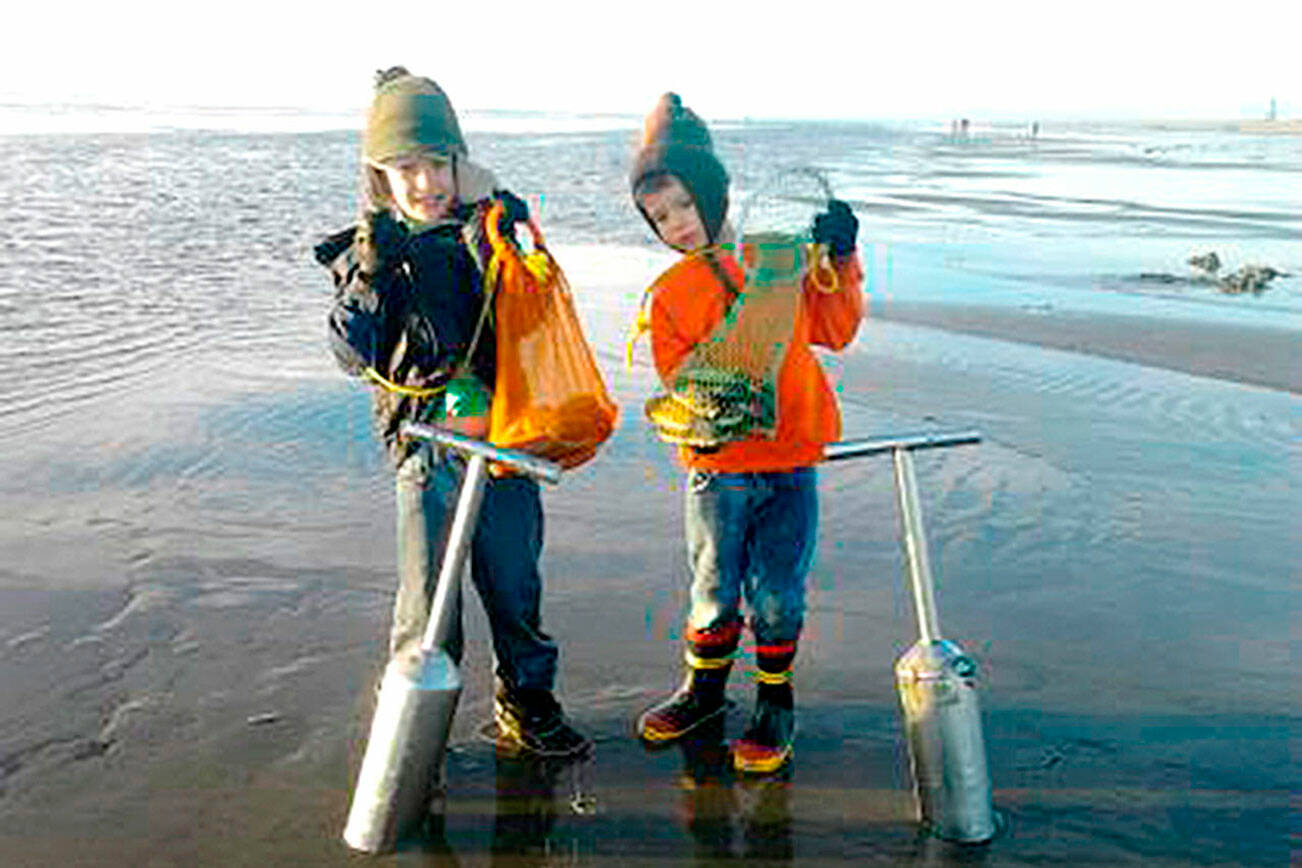 Kids dig for razor clams at Long Beach. (Photo courtesy Tammy Foes/WDFW)