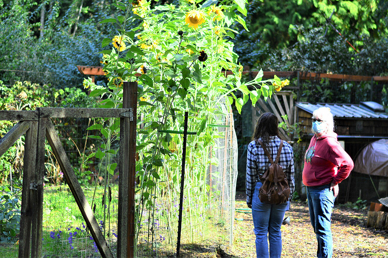 Raincoast Farm co-owner Margaret Stoermer, right, talks with visitor Jessica Cunningham of Seattle outside the Raincoast Farms Food Bank Garden of Port Townsend on Saturday. The Jefferson County Farm Tour, with seven locations open for in-person visits, continues today. (Diane Urbani de la Paz/Peninsula Daily News)